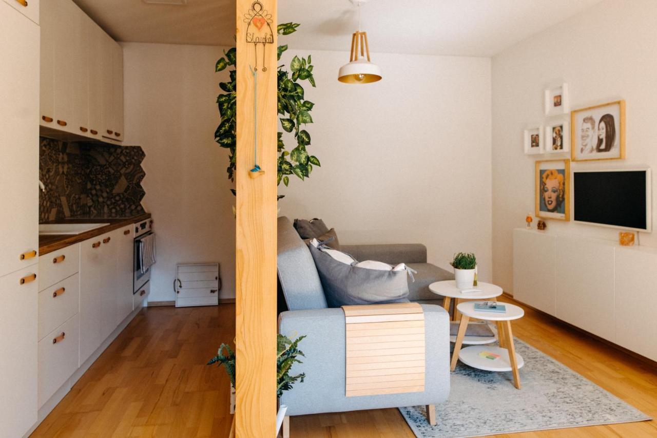 Apartman V Srdci Znojma „Jako Doma“ ズノイモ エクステリア 写真